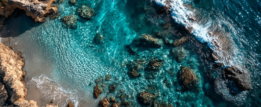 AminoMar™ and Beyond: The Role of Targeted Nutrition in Hair Restoration Protocols